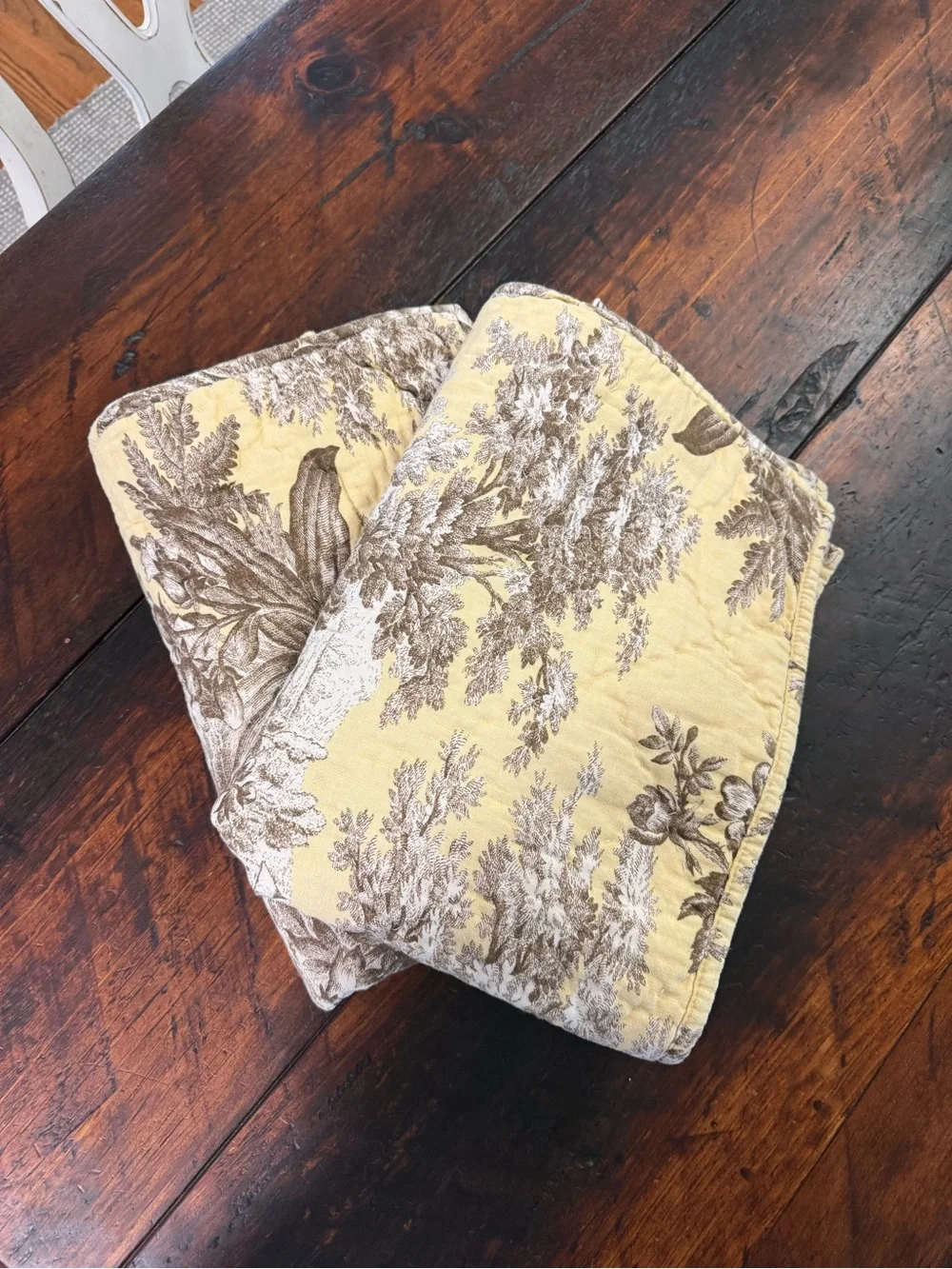 Pottery Barn Yellow and Brown Toile Pillow Shams (Pair)